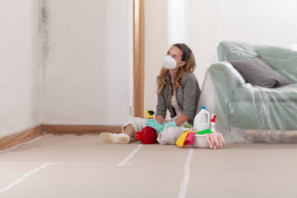 Reliable Mold Remediation contractor in Aydlett, NC by WQB Mold Removal